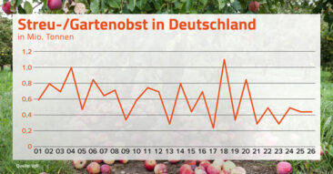 Regen entscheidend für Streuobsternte 2026: 450.000 Tonnen erwartet