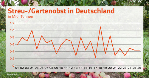 Regen entscheidend für Streuobsternte 2026: 450.000 Tonnen erwartet