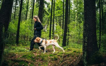 Thule stellt Thule Dart vor – Hundeausrüstung für gemeinsame Alltagaktivitäten