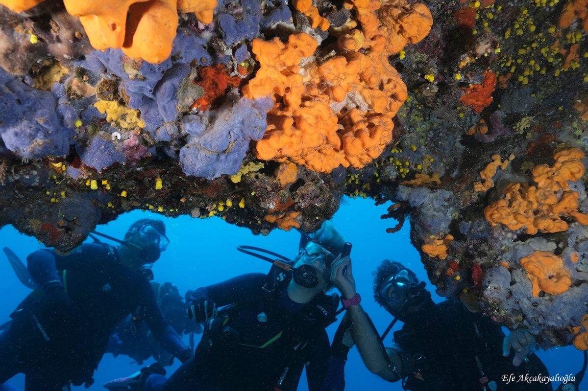 Unter der Wasseroberfläche: Die schönsten Tauchreviere in Türkiye