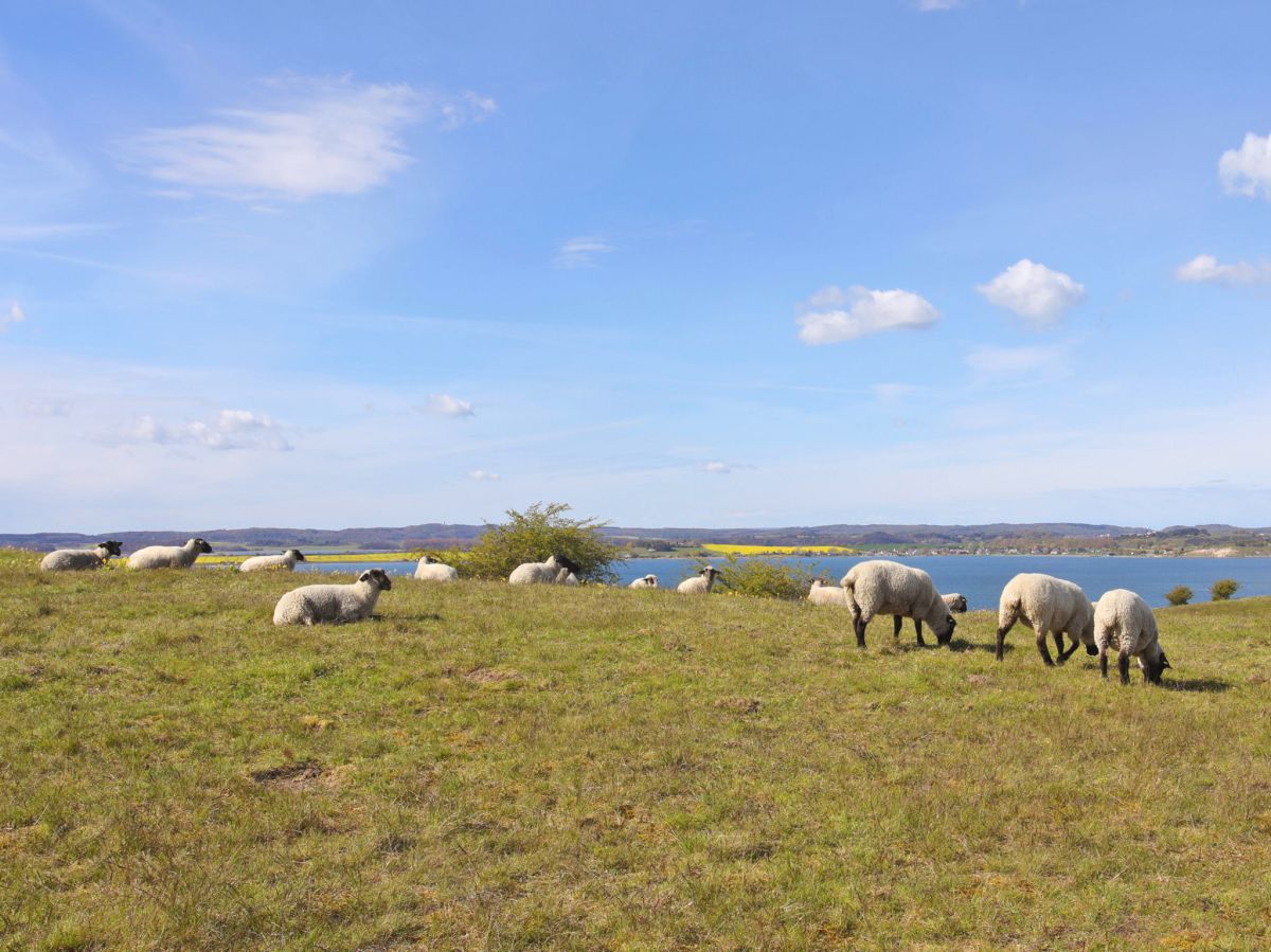 Das Biosphärenreservat Südost-Rügen – ein Urlaubsparadies schützen und erleben.