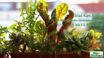 Grün. Kühl. Essbar! 19. Bio-Balkon-Onlinekongress zeigt, wie Balkone zur Abkühlung und Stadtnatur beitragen