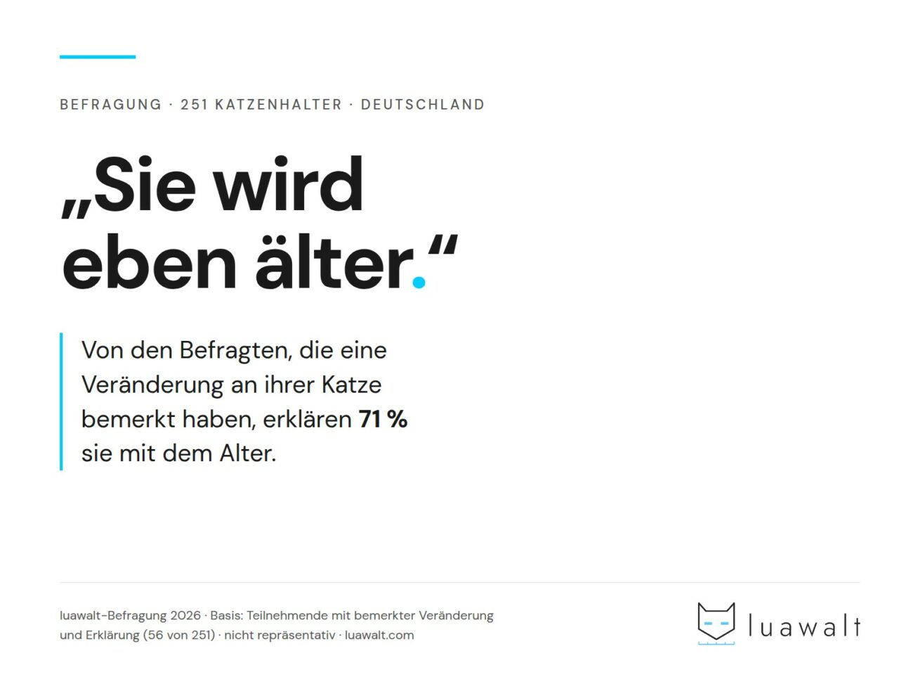 „Sie wird eben älter“ – warum Katzenhalter Warnzeichen richtig sehen und trotzdem falsch deuten