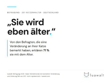 „Sie wird eben älter“ – warum Katzenhalter Warnzeichen richtig sehen und trotzdem falsch deuten
