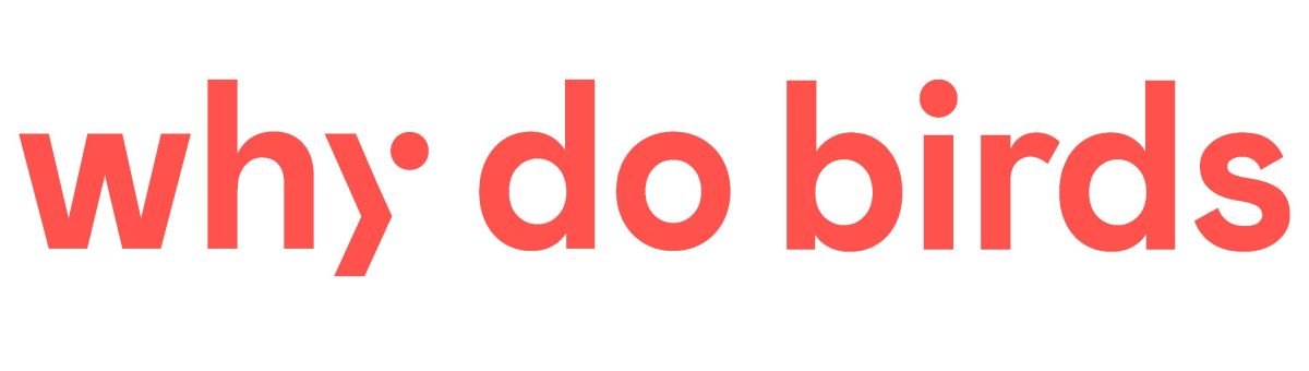 why do birds entwickelt erstes Audio Branding für Godrej Industries Group