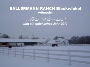 100 Kinder! – Die große „Ballermann“-Weihnachtsaktion