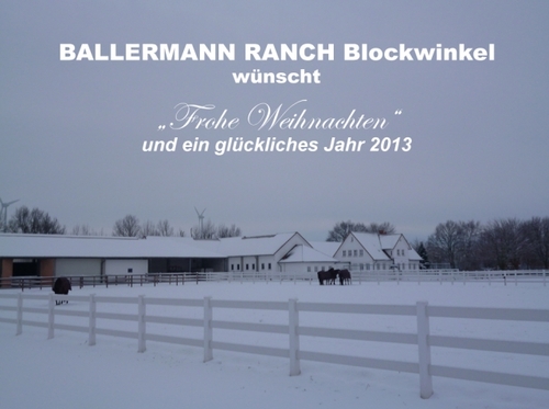 100 Kinder! – Die große „Ballermann“-Weihnachtsaktion