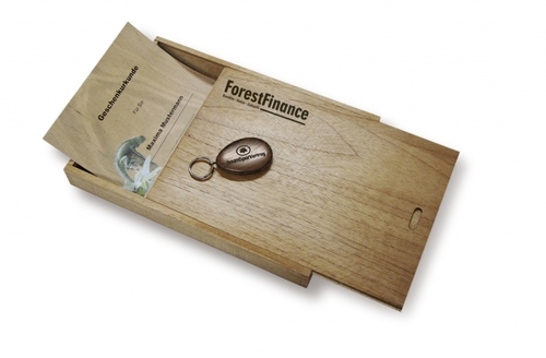 Hochzeitswald – eine nachhaltige Geschenkidee mit dem GeschenkBaum von ForestFinance