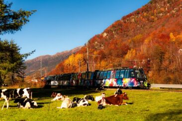 Mit dem „Treno del Foliage“ durch das Hinterland des Lago Maggiore