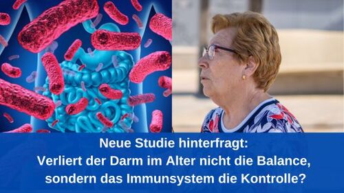 Neue Studie hinterfragt: Verliert der Darm im Alter nicht die Balance, sondern das Immunsystem die Kontrolle?