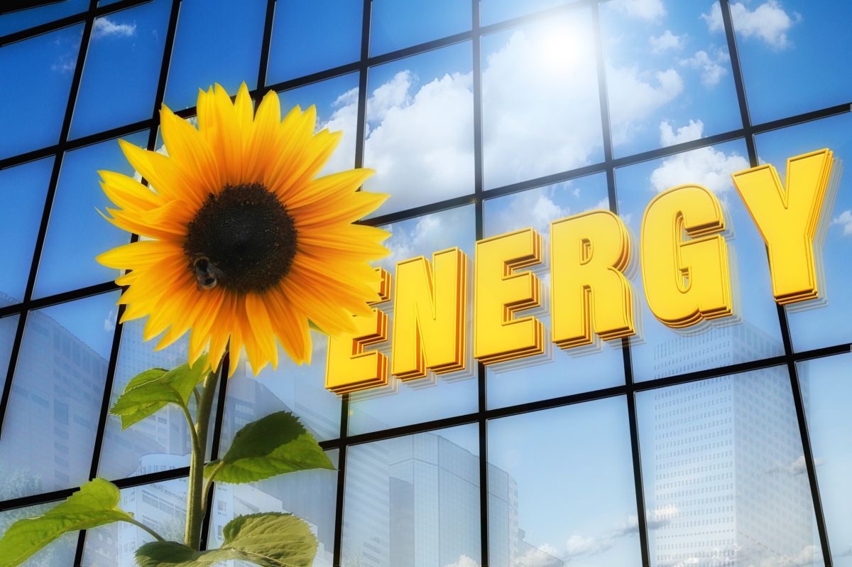NOVAGREEN ENERGY: Nachhaltige Energielösungen für Industrie, Bau und Immobilien