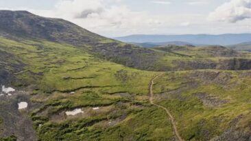 Sitka Gold: 257 Meter Gold ab Oberfläche und Wolframtreffer auf Rhosgobel