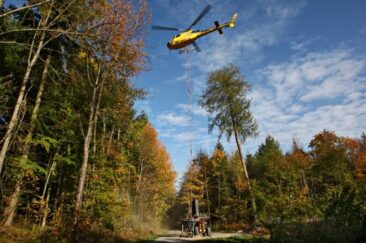 Waldzustandsberichte 2012 zeigen weiterhin bedrohliche Bodenversauerung und Waldschäden