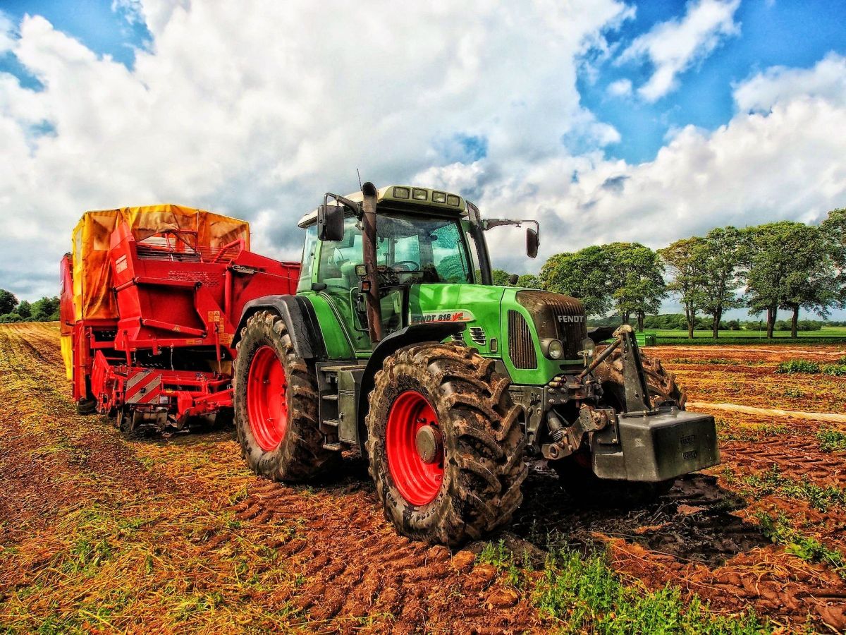 World Potato Congress 2026: UnternehmenDigital begleitet deutsche Unternehmen bei Markteinstieg in Ostafrika