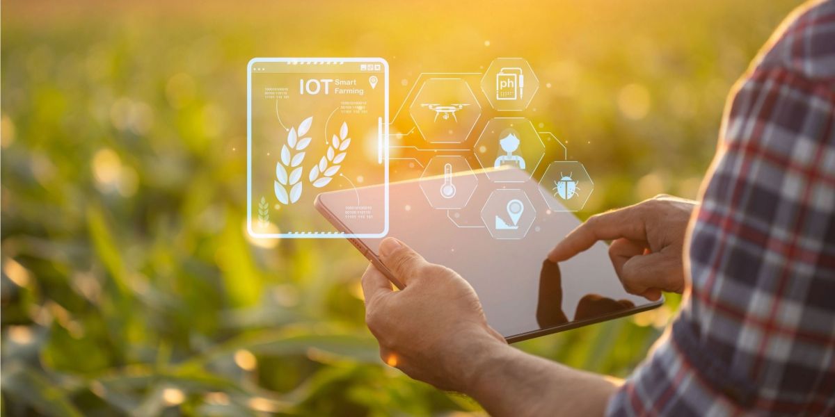 BMLEH-Fördercall: Neue Förderung für Robotik, Automatisierung und KI in der Landwirtschaft
