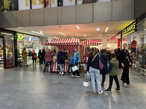 Das Forum Steglitz feiert Erntedank: Steckrübensuppe, Pumpkin Spice und Herbst-Workshops in der Schloßstraße