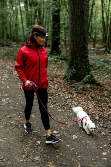 Hunderunde durchs Dunkle: Zweibrüder sorgt für sicheres Licht