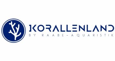 Korallen online kaufen: WYSIWYG schafft mehr Transparenz beim Korallenkauf