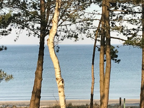 Meeresblick Panorama Wohnung mit eigenem Strandzugang hier sitzen Sie in der ersten Reihe