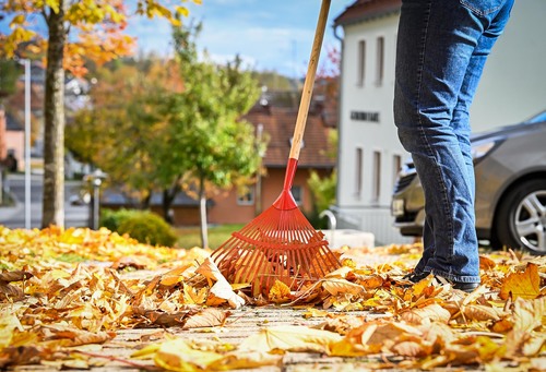 Nasses Herbstlaub bringt Passanten ins Rutschen: Wer haftet bei Unfällen?