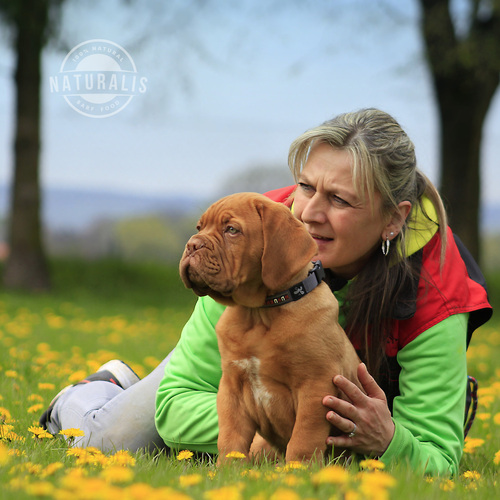 TrockenBARF vergleichen: 10 Kriterien für gutes Hundefutter