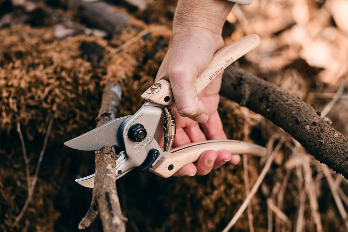 Vom jungen Trieb bis zum starken Ast: So finden Gartenbesitzer die passende Schere