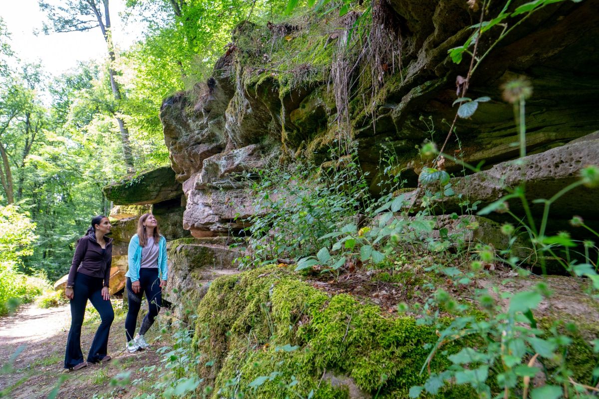 Wandern in Bad Kissingen: Wo jeder weg zum Erlebnis wird