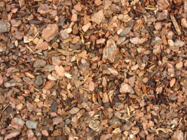 Wenn der Herbst in Kubikmetern kommt: Garten winterfest machen und Brennstoffvorräte auffüllen