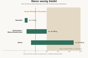 Wenn wenig bleibt: Warum Größe beim Abschied von Haustieren keine Rolle spielen sollte